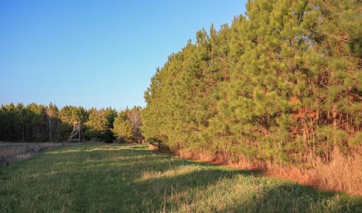 Photo #35 of SOLD property in Off Arrow Lane, Lewiston, NC 225.0 acres