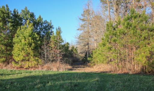 Photo #36 of SOLD property in Off Arrow Lane, Lewiston, NC 225.0 acres