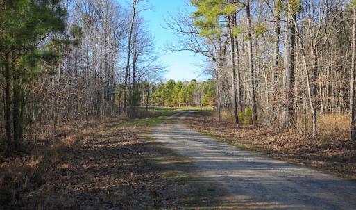 Photo #26 of SOLD property in Off Arrow Lane, Lewiston, NC 225.0 acres