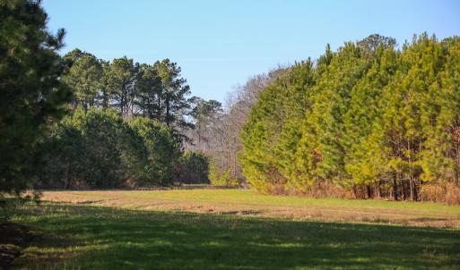Photo #27 of SOLD property in Off Arrow Lane, Lewiston, NC 225.0 acres