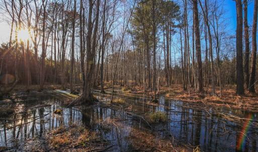 Photo #30 of SOLD property in Off Arrow Lane, Lewiston, NC 225.0 acres