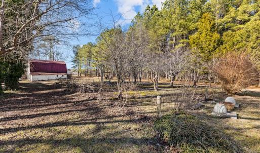 Photo #46 of SOLD property in 3173 Sheppard Mill Road, Stokes, NC 36.9 acres