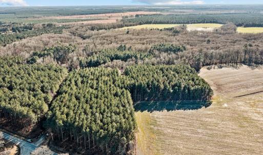 Photo #48 of SOLD property in 3173 Sheppard Mill Road, Stokes, NC 36.9 acres