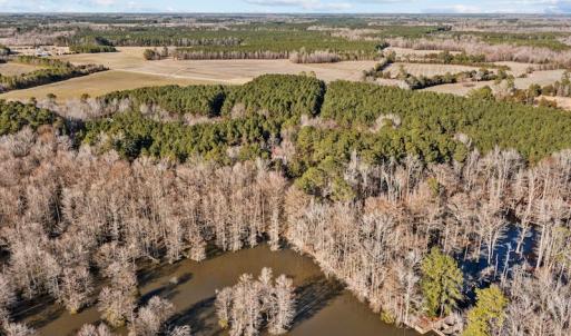 Photo #49 of SOLD property in 3173 Sheppard Mill Road, Stokes, NC 36.9 acres