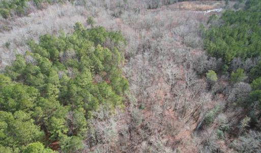 Photo #12 of SOLD property in Off Good Hope Road, Lanexa, VA 26.3 acres