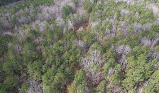 Photo #14 of SOLD property in Off Good Hope Road, Lanexa, VA 26.3 acres