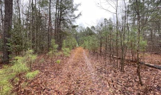 Photo #15 of SOLD property in Off Good Hope Road, Lanexa, VA 26.3 acres