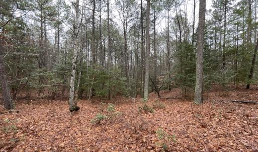 Photo #19 of SOLD property in Off Good Hope Road, Lanexa, VA 26.3 acres