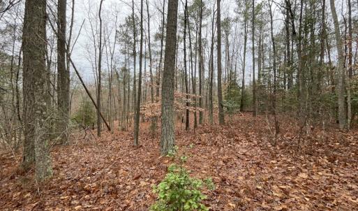 Photo #22 of SOLD property in Off Good Hope Road, Lanexa, VA 26.3 acres