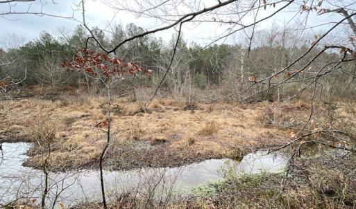 Photo #24 of SOLD property in Off Good Hope Road, Lanexa, VA 26.3 acres
