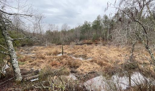 Photo #25 of SOLD property in Off Good Hope Road, Lanexa, VA 26.3 acres