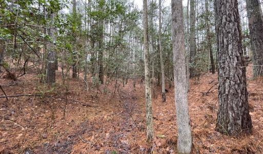 Photo #26 of SOLD property in Off Good Hope Road, Lanexa, VA 26.3 acres