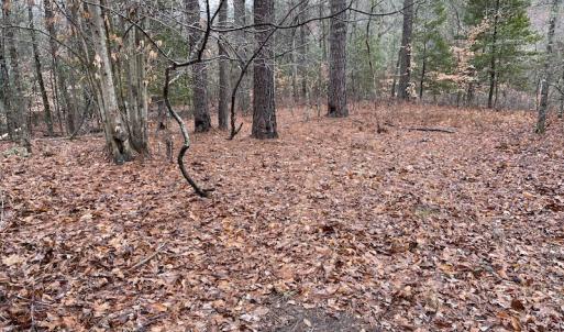 Photo #29 of SOLD property in Off Good Hope Road, Lanexa, VA 26.3 acres