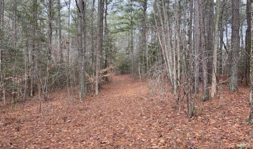 Photo #38 of SOLD property in Off Good Hope Road, Lanexa, VA 26.3 acres