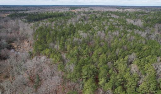Photo #4 of SOLD property in Off Good Hope Road, Lanexa, VA 26.3 acres