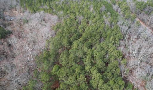 Photo #5 of SOLD property in Off Good Hope Road, Lanexa, VA 26.3 acres