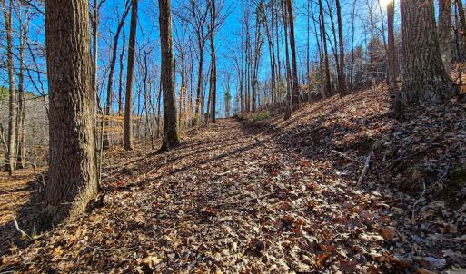 Photo #23 of 3562 Summerset Road North, Gretna, VA 1.2 acres