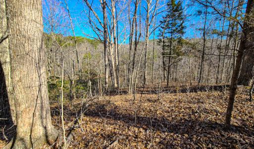 Photo #27 of 3562 Summerset Road North, Gretna, VA 1.2 acres