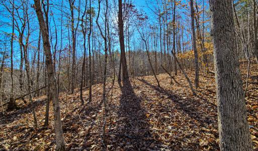 Photo #28 of 3562 Summerset Road North, Gretna, VA 1.2 acres