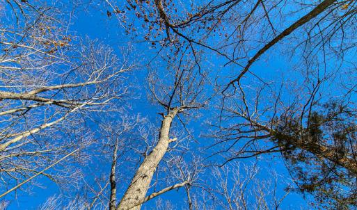 Photo #29 of 3562 Summerset Road North, Gretna, VA 1.2 acres