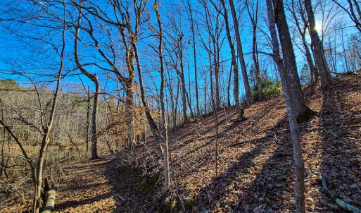Photo #33 of 3562 Summerset Road North, Gretna, VA 1.2 acres