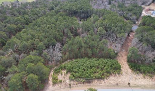Photo #10 of SOLD property in Off Ashby Road, Exmore, VA 14.3 acres