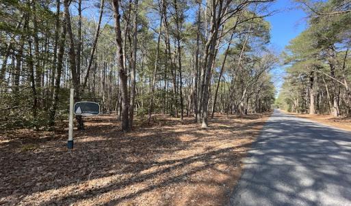 Photo #13 of SOLD property in Off Ashby Road, Exmore, VA 14.3 acres