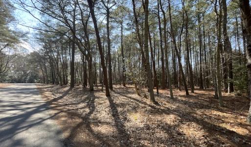 Photo #14 of SOLD property in Off Ashby Road, Exmore, VA 14.3 acres