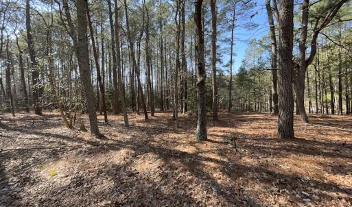 Photo #15 of SOLD property in Off Ashby Road, Exmore, VA 14.3 acres