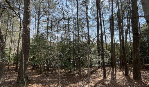 Photo #20 of SOLD property in Off Ashby Road, Exmore, VA 14.3 acres