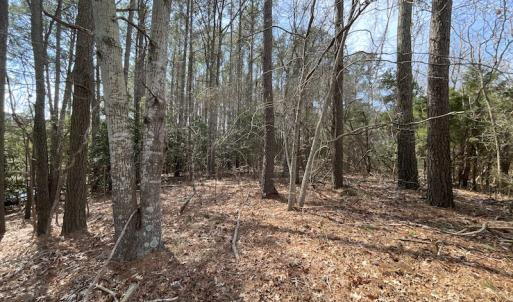 Photo #21 of SOLD property in Off Ashby Road, Exmore, VA 14.3 acres