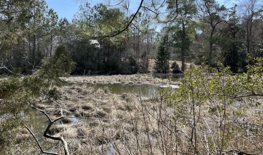 Photo #22 of SOLD property in Off Ashby Road, Exmore, VA 14.3 acres