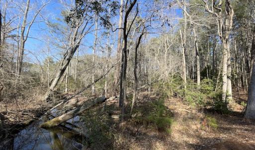 Photo #23 of SOLD property in Off Ashby Road, Exmore, VA 14.3 acres