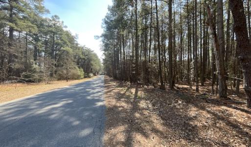 Photo #24 of SOLD property in Off Ashby Road, Exmore, VA 14.3 acres