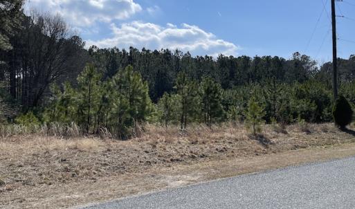 Photo #25 of SOLD property in Off Ashby Road, Exmore, VA 14.3 acres