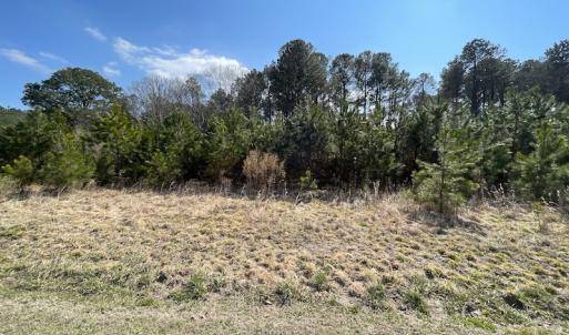 Photo #26 of SOLD property in Off Ashby Road, Exmore, VA 14.3 acres