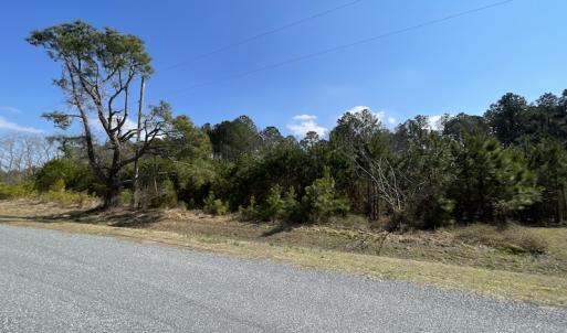 Photo #28 of SOLD property in Off Ashby Road, Exmore, VA 14.3 acres