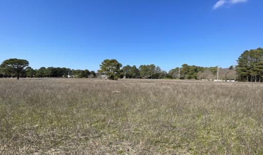 Photo #29 of SOLD property in Off Ashby Road, Exmore, VA 14.3 acres