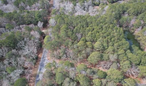 Photo #3 of SOLD property in Off Ashby Road, Exmore, VA 14.3 acres