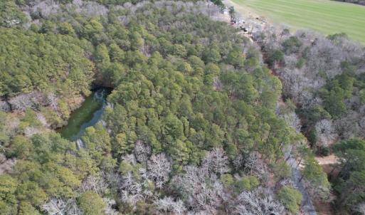 Photo #4 of SOLD property in Off Ashby Road, Exmore, VA 14.3 acres