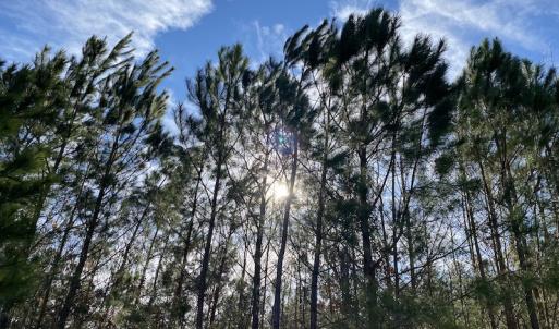 Photo #3 of SOLD property in Off Desha Road, Tappahannock, VA 5.7 acres