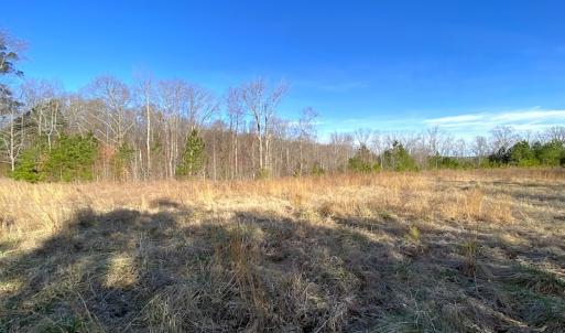 Photo #4 of SOLD property in Off Desha Road, Tappahannock, VA 5.7 acres