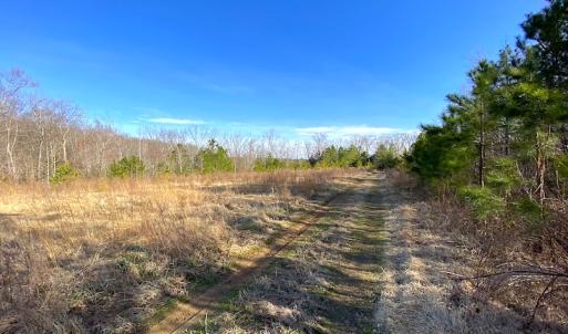 Photo #6 of SOLD property in Off Desha Road, Tappahannock, VA 5.7 acres