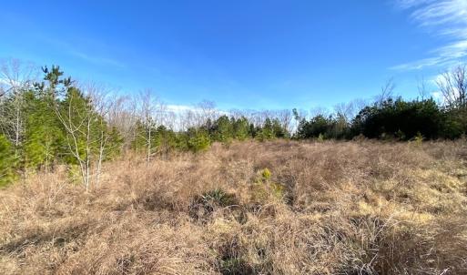 Photo #7 of SOLD property in Off Desha Road, Tappahannock, VA 5.7 acres