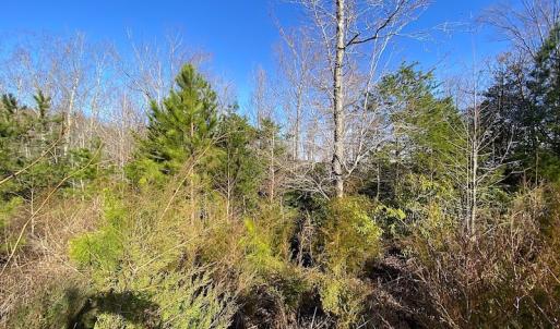 Photo #10 of SOLD property in Off Desha Road, Tappahannock, VA 5.7 acres