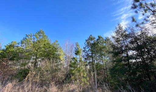 Photo #12 of SOLD property in Off Desha Road, Tappahannock, VA 5.7 acres