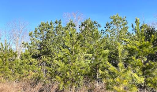 Photo #13 of SOLD property in Off Desha Road, Tappahannock, VA 5.7 acres