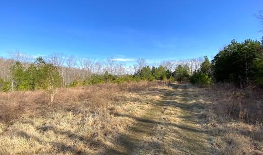 Photo #15 of SOLD property in Off Desha Road, Tappahannock, VA 5.7 acres