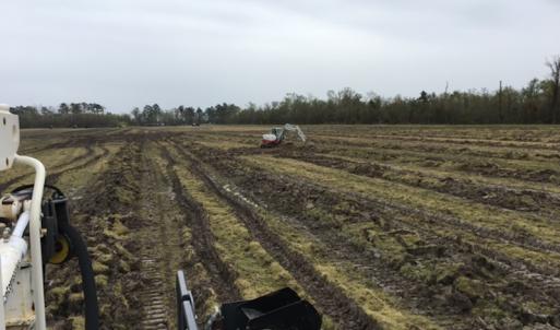 Photo #50 of 2815 North Gum Neck Road, Columbia, NC 1,548.0 acres