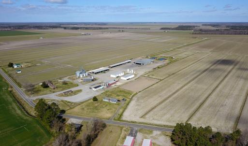 Photo #11 of 2815 North Gum Neck Road, Columbia, NC 1,548.0 acres